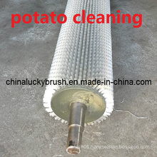 0.5mm Nylon Potato Cleaning or Polishing Brush (YY-344)